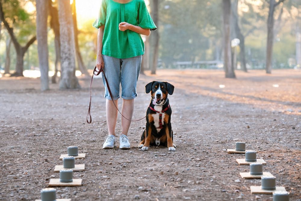 Question of the Week